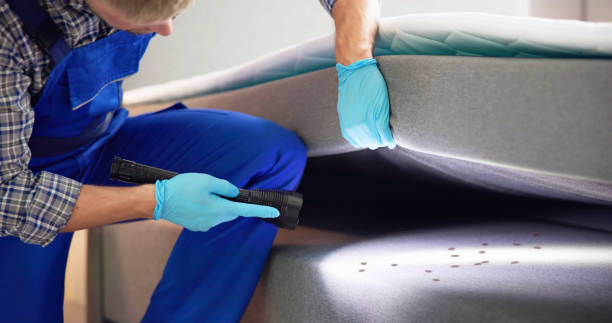 Best Flea Control Services  in Glenpool, OK