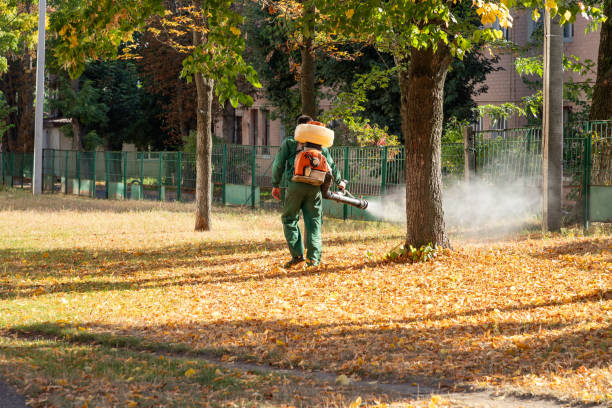 Best Pest Control Near Me  in Glenpool, OK