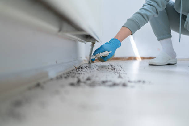 Best Mosquito Control Services  in Glenpool, OK